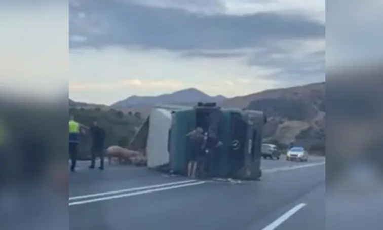 Κρήτη: Τροχαίο στον ΒΟΑΚ – Φορτηγό με ζώα εξετράπη της πορείας του και έκλεισε το ένα ρεύμα κυκλοφορίας