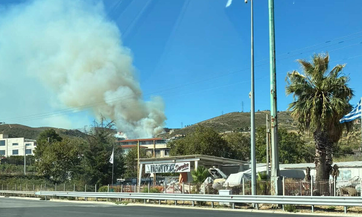 Συναγερμός για τη φωτιά στις Αφίδνες: Μήνυμα του 112 για ετοιμότητα εκκένωσης