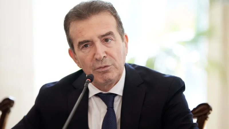 Μιχάλης Χρυσοχοΐδης για ενδοοικογενειακή βία: ”Κάθε βράδυ γίνονται 100 συλλήψεις”