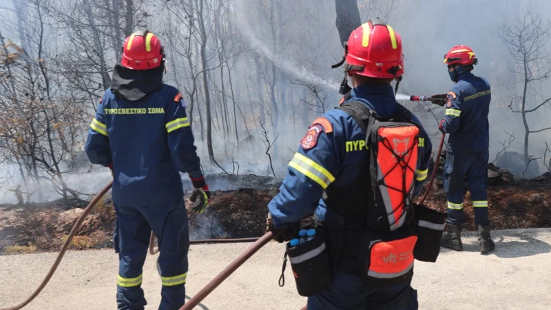 Φωτιά στη Σαλαμίνα, στην περιοχή Περάνι – Μήνυμα του 112 στους κατοίκους για εκκένωση προς Αιάντειο
