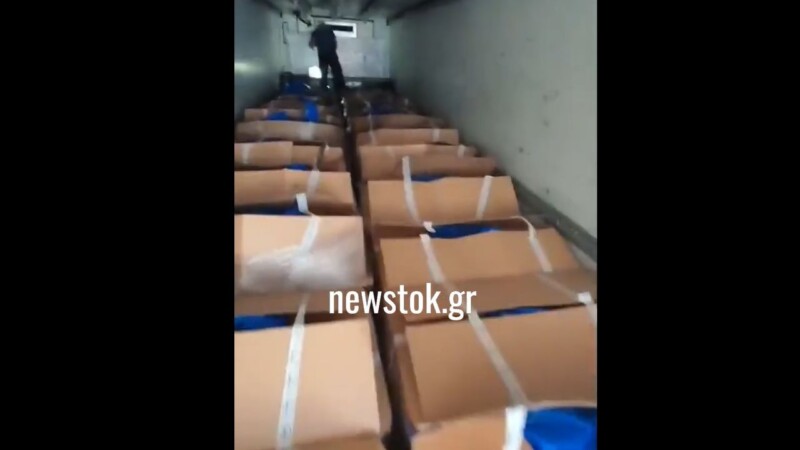 Ηγουμενίτσα: Έπιασαν νταλίκα με 300 κιλά skunk από Ισπανία – Βίντεο ντοκουμέντο